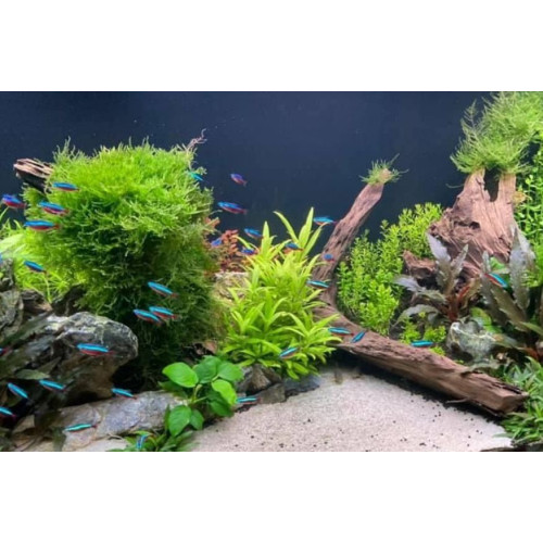 bílý písek do akvária 3 kg