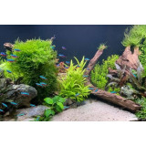 bílý písek do akvária 3 kg