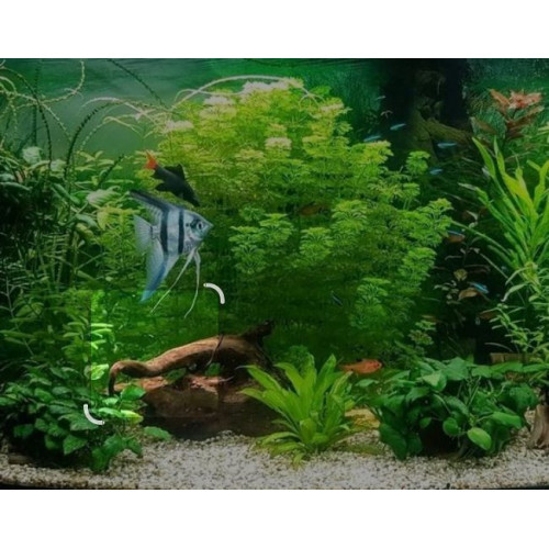 písek na dno akvária bílý 3 kg