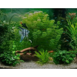 písek na dno akvária bílý 3 kg