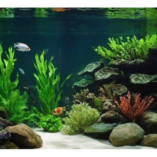 jemný štěrk do akvária bílý