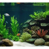 jemný štěrk do akvária bílý