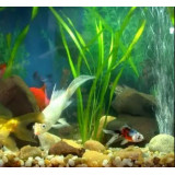 bateriový vzduchovací motorek Marina