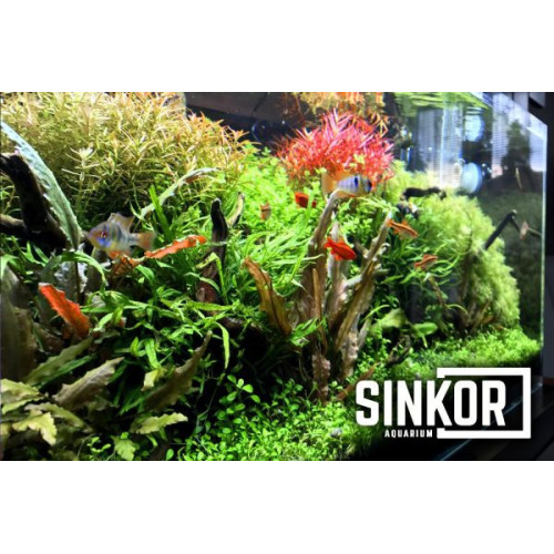 Sinkor LED II 45 cm WRB 18W