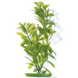 Rostlina MARINA Hygrophila 30 cm