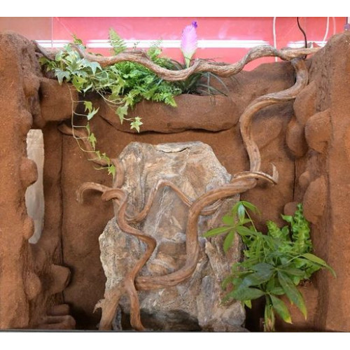 Terarijní rostlina UH 40 cm