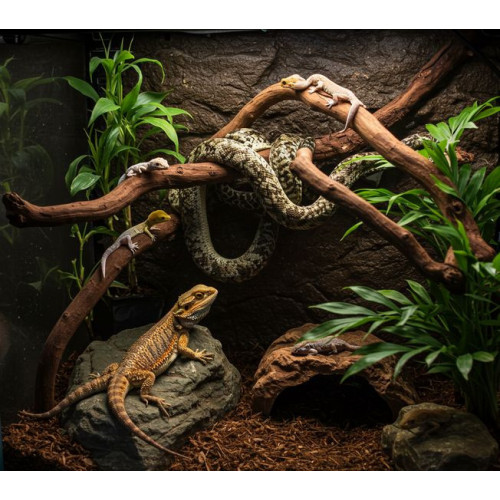 Terarijní rostlina UH 40 cm