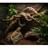 Terarijní rostlina UH 40 cm