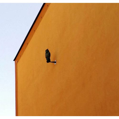 zahradní dekorace Výr