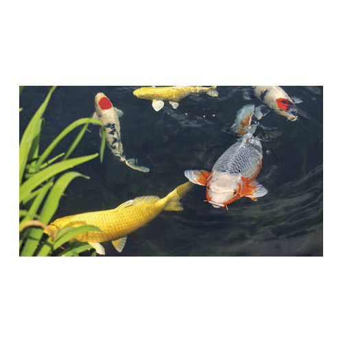 Coppens Allround Mix 15 kg