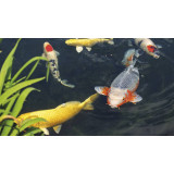 Coppens Allround Mix 15 kg