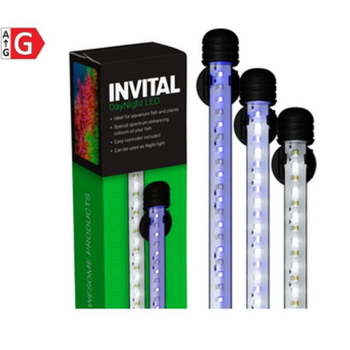 INVITAL DayNight LED 6W 29cm