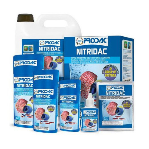 Nitridac biologická filtrace