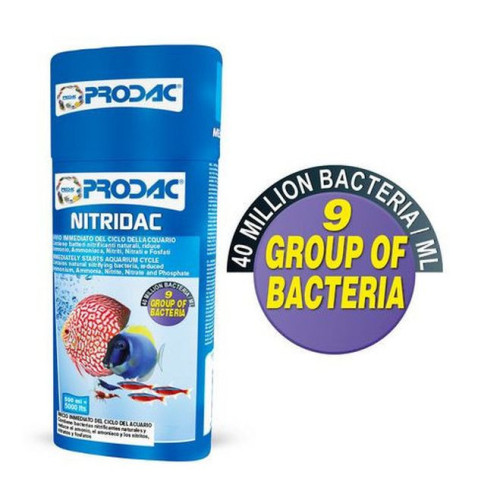 Nitridac nitrifikační bakterie