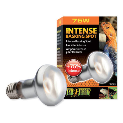 Žárovka Exo Terra Intense Basking Spot 75W