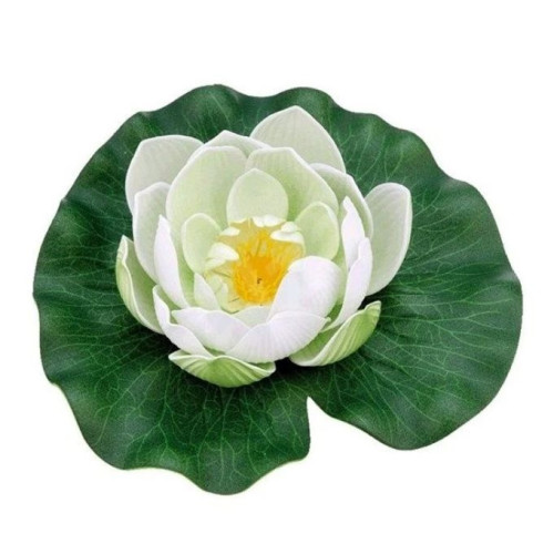 Leknín bíílý dekorace do jezírka