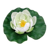 Leknín bíílý dekorace do jezírka