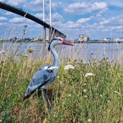 Volavka jezírkové dekorace