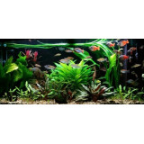 Akvarijní topítko AQUA NOVA NHA-200