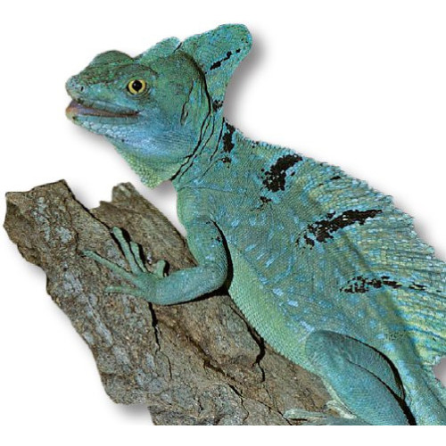 ReptiZoo LED osvětlení LED011D 18" UVB 10.0