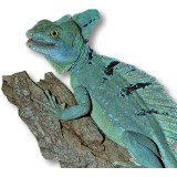 ReptiZoo LED osvětlení LED011D 18" UVB 10.0