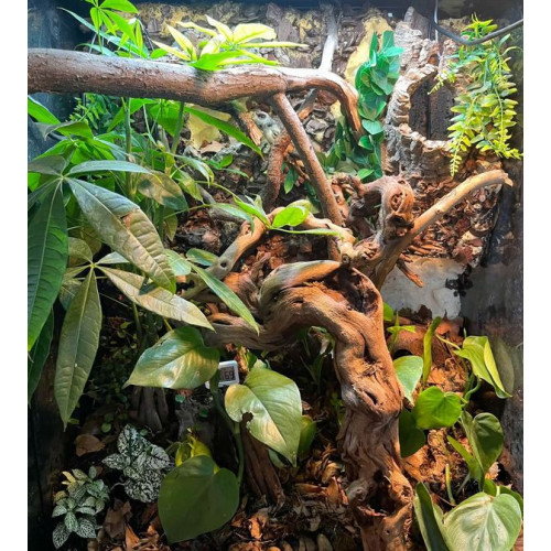 ReptiZoo LED osvětlení LED011D 24" UVB 10.0