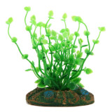 akvarijní rostlina np-10 08013-1