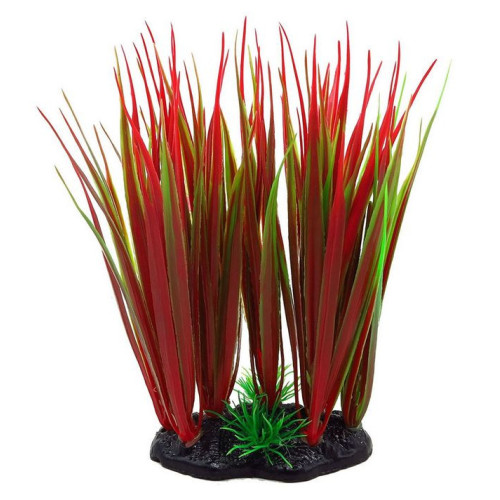 Aqua Nova akvarijní rostlina Red Baron 13 cm