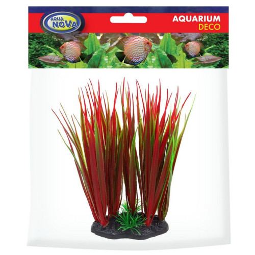 Aqua Nova akvarijní rostlina Red Baron 13 cm