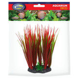 Aqua Nova akvarijní rostlina Red Baron 13 cm