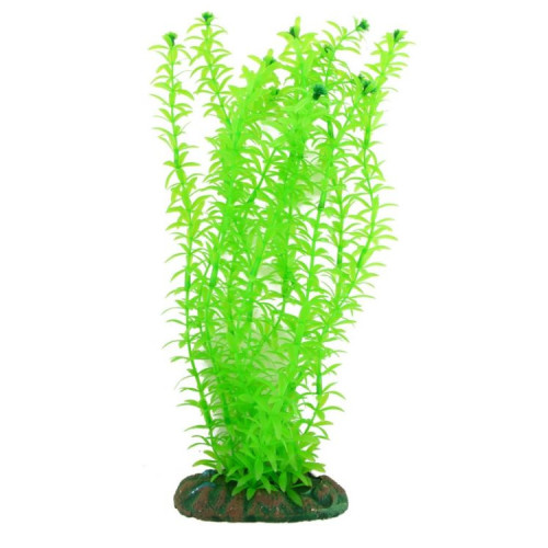 Akvarijní rostlina 30 cm NP30 30020