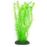 Akvarijní rostlina 30 cm NP30 30020