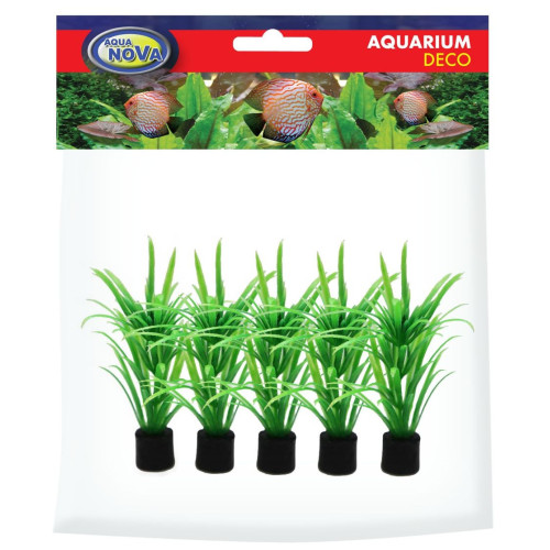 rostliny do akvária 5 ks 8 cm