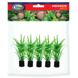 rostliny do akvária 5 ks 8 cm
