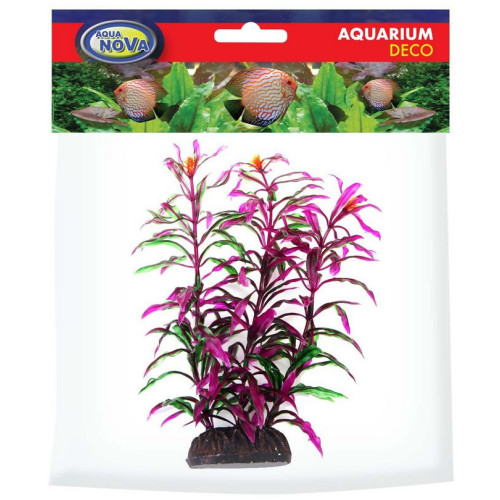 Aqua Nova Hygro Araguais 20 cm