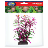 Aqua Nova Hygro Araguais 20 cm