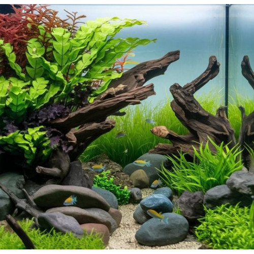 Aqua Nova NP-18 6006-R – umělá rostlina 18 cm, kapradí a tráva