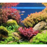 Aqua Nova NP-15 6003-R – umělá rostlina 15 cm, vlnité traviny