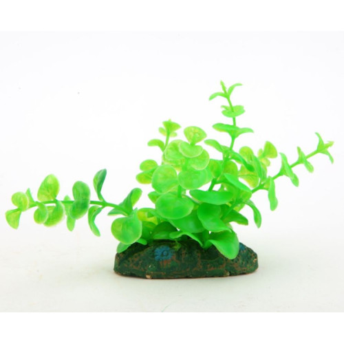 akvarijní rostlina NP-10 08081