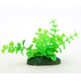 akvarijní rostlina NP-10 08081