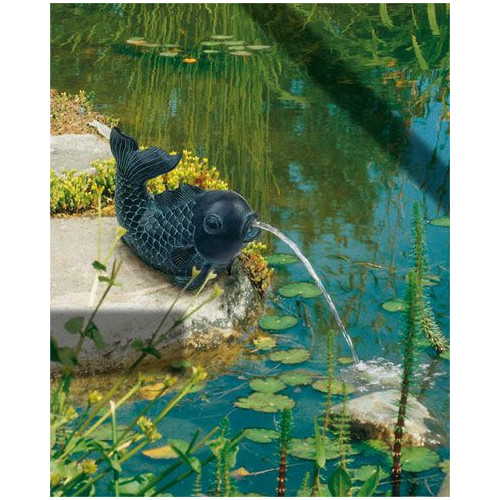 Heissner chrlič ryba