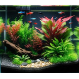 biOrb Aquatic mořská lilie tmavě červená