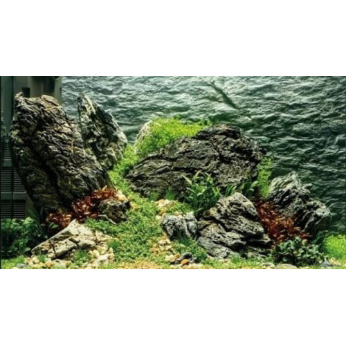 Rostlina do akvária 4 cm NP4 0440