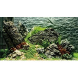 Rostlina do akvária 4 cm NP4 0440