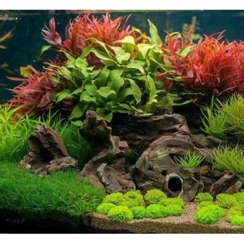 Kompresor Resun AC-1000