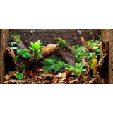 ReptiZoo Terárium RHK02S