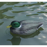 dekorace do jezírka Kačer