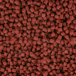 SERA KOI Professional krmivo ZIMA