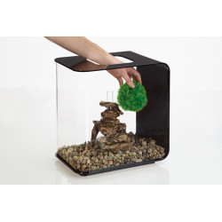 Topiary 3 koule zelené