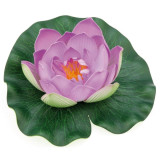 plovoucí leknín fialový